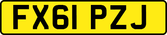 FX61PZJ