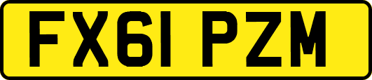 FX61PZM
