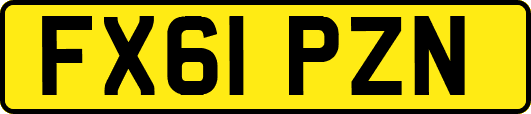 FX61PZN