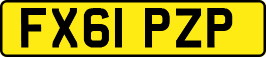 FX61PZP