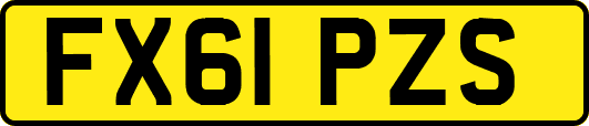 FX61PZS
