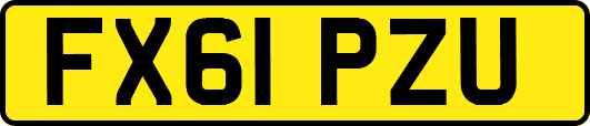FX61PZU