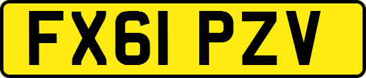 FX61PZV