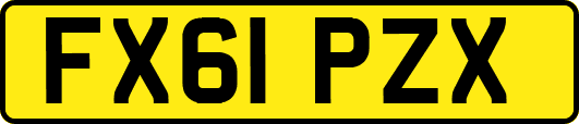 FX61PZX