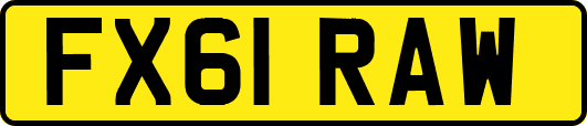 FX61RAW