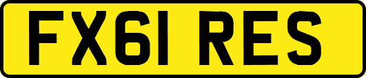 FX61RES