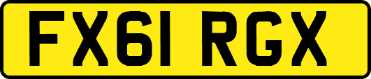 FX61RGX