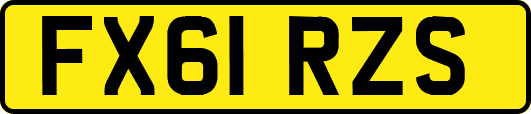 FX61RZS