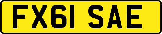 FX61SAE