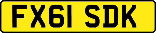FX61SDK