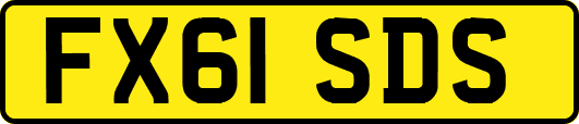 FX61SDS