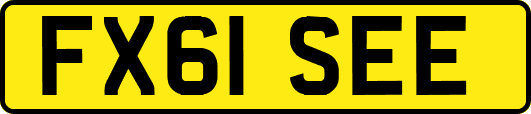 FX61SEE