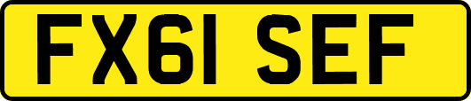 FX61SEF