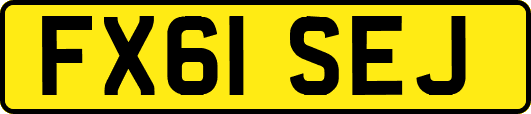 FX61SEJ