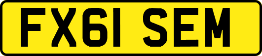 FX61SEM