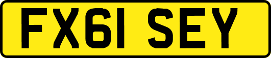 FX61SEY