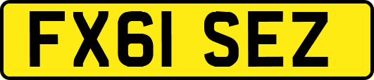 FX61SEZ