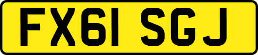 FX61SGJ
