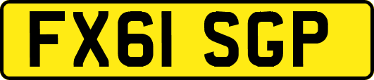 FX61SGP