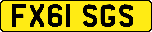 FX61SGS
