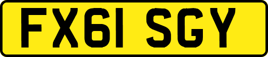 FX61SGY