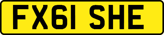 FX61SHE