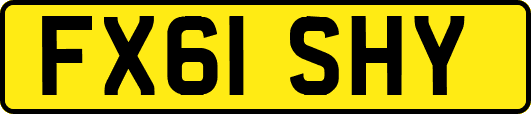 FX61SHY