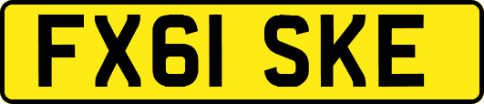 FX61SKE