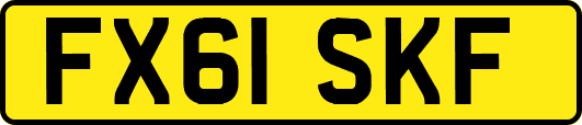 FX61SKF