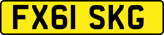 FX61SKG