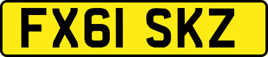 FX61SKZ