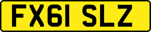 FX61SLZ