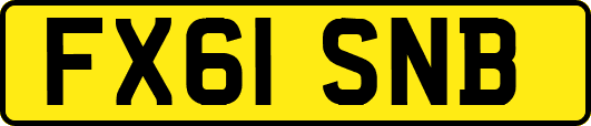 FX61SNB