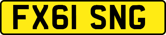 FX61SNG