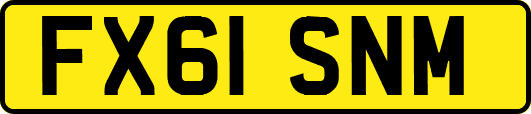FX61SNM