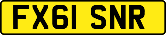 FX61SNR