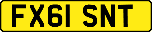 FX61SNT