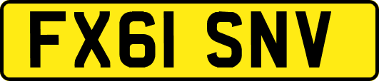 FX61SNV