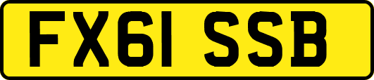 FX61SSB