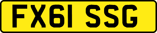FX61SSG