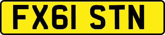 FX61STN