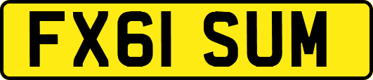 FX61SUM