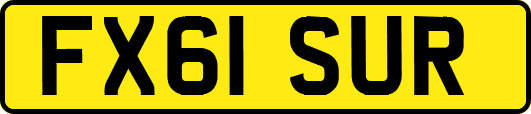 FX61SUR