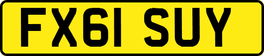 FX61SUY