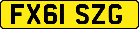 FX61SZG