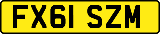 FX61SZM