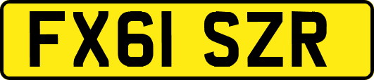 FX61SZR