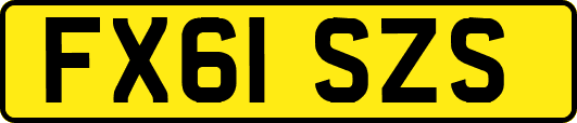 FX61SZS