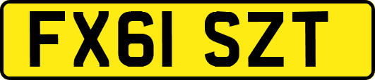 FX61SZT