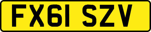 FX61SZV